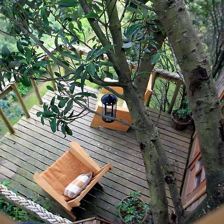 הוילה קסטרו La Casa Del Arbol De Chiloe מראה חיצוני תמונה