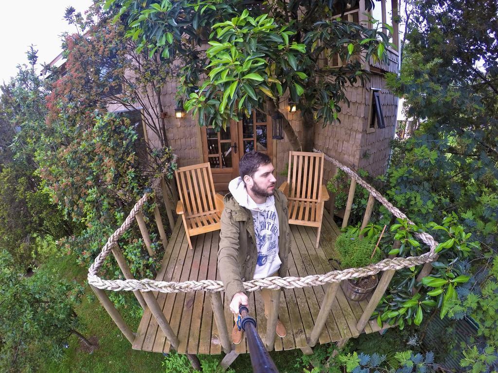 הוילה קסטרו La Casa Del Arbol De Chiloe חדר תמונה