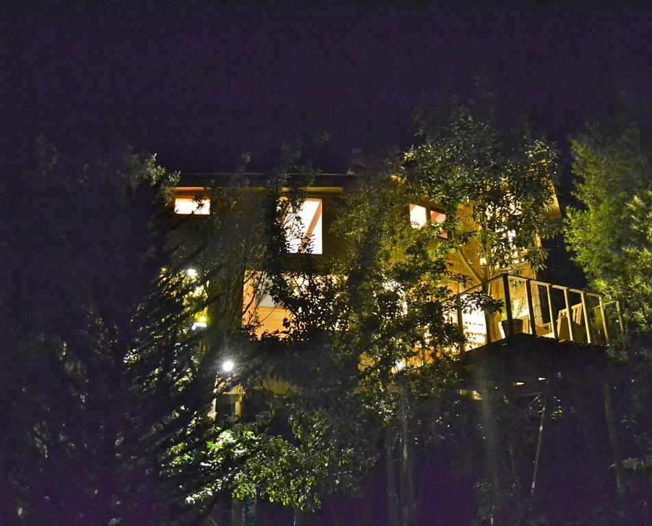 הוילה קסטרו La Casa Del Arbol De Chiloe מראה חיצוני תמונה