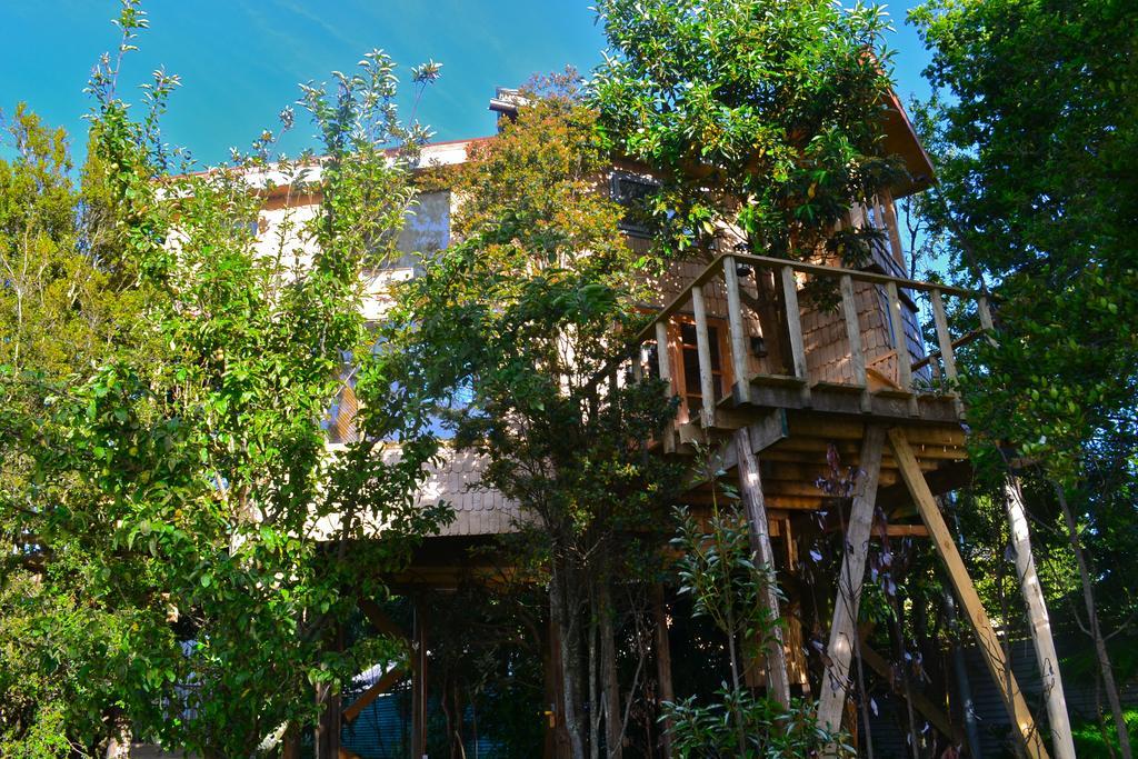הוילה קסטרו La Casa Del Arbol De Chiloe חדר תמונה