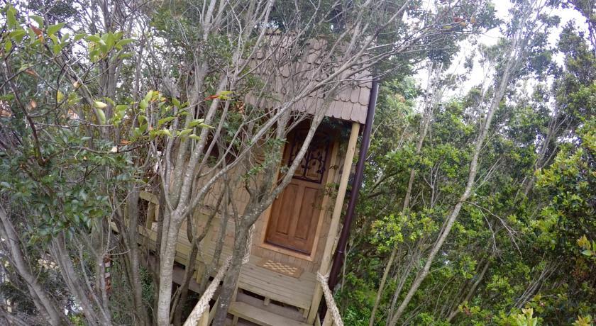 הוילה קסטרו La Casa Del Arbol De Chiloe חדר תמונה