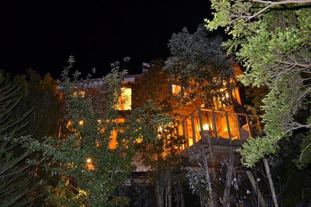 הוילה קסטרו La Casa Del Arbol De Chiloe מראה חיצוני תמונה