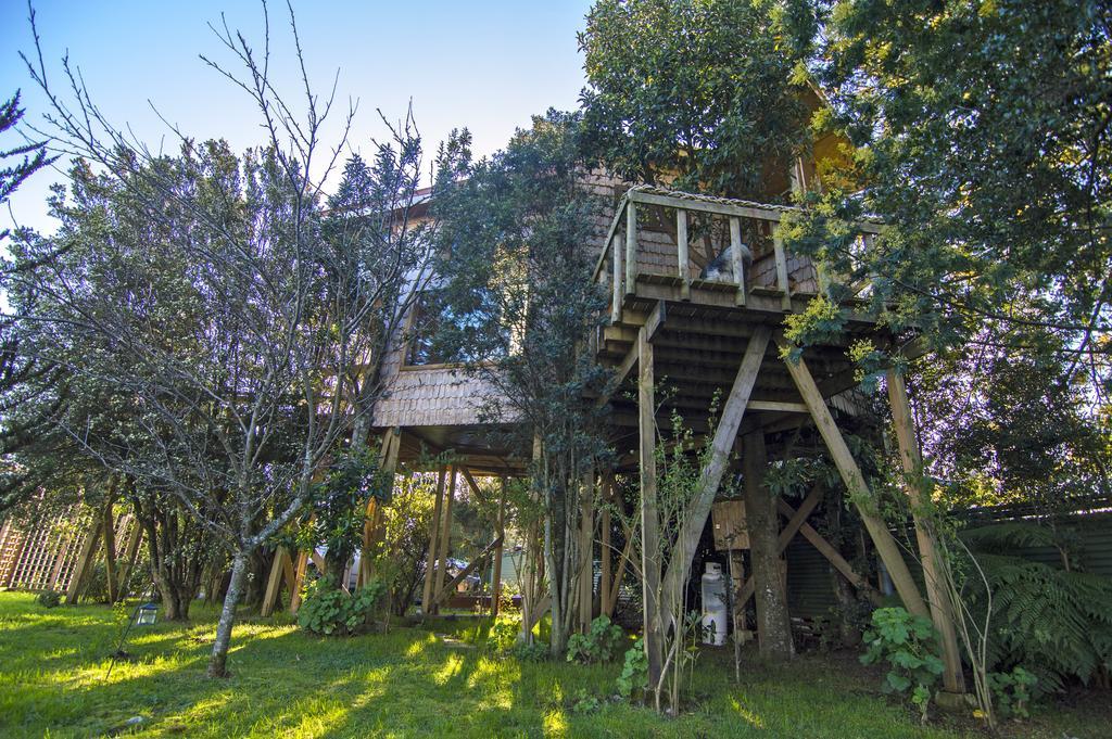 הוילה קסטרו La Casa Del Arbol De Chiloe מראה חיצוני תמונה