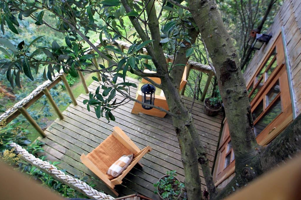 הוילה קסטרו La Casa Del Arbol De Chiloe מראה חיצוני תמונה